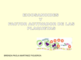 Eicosanoides-y-Factor-Activador