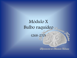 Bulbo Raquideo II