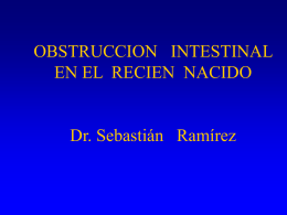 OBSTRUCCION INTESTINAL EN EL RECIEN NACIDO Dr