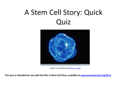 1. Que es una célula madre?