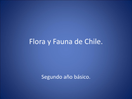 Flora y Fauna de Chile - Colegio Hispano Americano