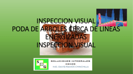 INSPECCION VISUAL PODA DE ARBOLES CERCA