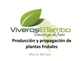 Produccion de plantas