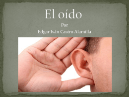 El oído - Anatomía y Fisiología Humana