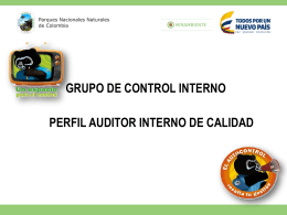 Perfil Auditores Internos Grupo de Control Interno 2015