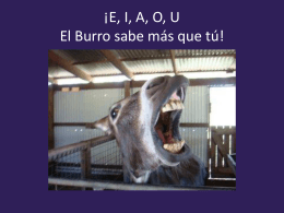 ¡E, I, A, O U El Burro sabe más que tú!