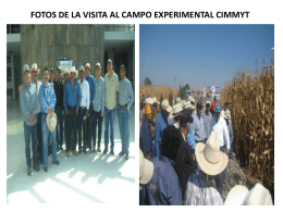 FOTOS DE LA VISITA AL CAMPO EXPERIMENTAL CIMMYT