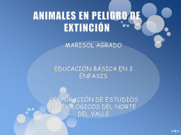ANIMALES EN PELIGRO DE EXTINCIÓN - tic-uso