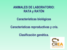 Importancia del control genético en animales de laboratorio