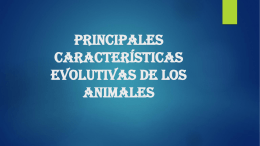 Principales características evolutivas de los animales Descripción