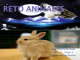 RETO ANIMALES JOSE
