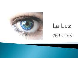 La Luz_ ojo humano