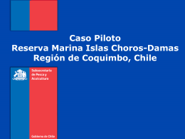 CASO PILOTO CHILE - Islas Choros_Damas 2
