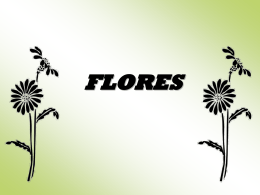 FLORES - WordPress.com