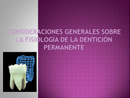 dentición permanente