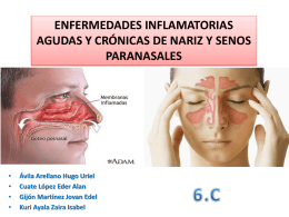 Enfermedades inflamatorias agudas y crónicas de nariz y SPN