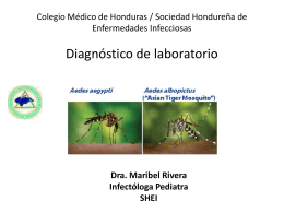DX Lab - Colegio Médico de Honduras