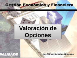 Clase 19 Teoría de Opciones Financieras