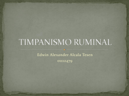 TIMPANISMO RUMINAL