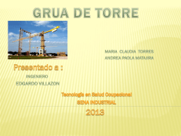 grua de torre - Salud Ocupacional SENA 2013
