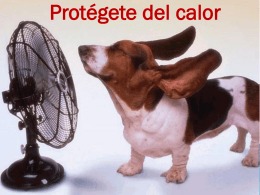 Protégete del calor Cuidados en temporada de calor