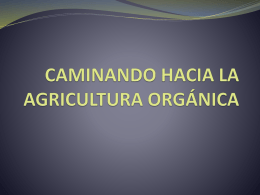 CAMINANDO HACIA LA AGRICULTURA ORGÁNICA