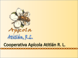 Presentación Cooperativa Apícola Atitlán R. L.
