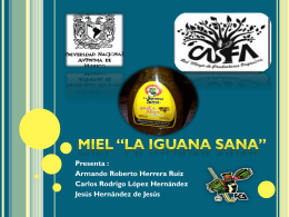 Miel la iguana sana - DiagnosticoMercados-2206-2012-2