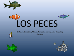 Peces - Campus Virtual ORT
