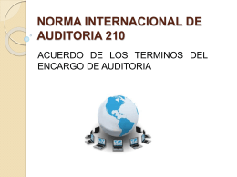 NORMA-INTERNACIONAL-DE-AUDITORIA-210
