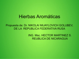 Hierbas aromáticas (Presentación - 1.4Mb)