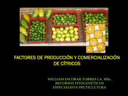 FACTORES DE PRODUCCIÓN Y