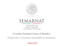 Producción y consumo sustentables, Semarnat