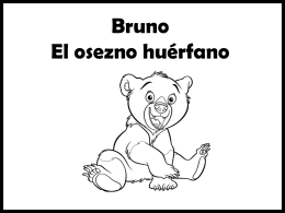 Bruno, el osezno huerfano