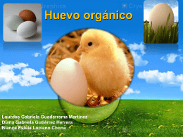 Huevo orgánico - Investigacion-2257-2012-2