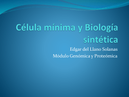 Biologia sintética y la célula mínima