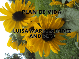 PLAN DE VIDA - WordPress.com