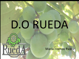 D.O RUEDA - WordPress.com