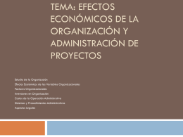 Tema: Efectos Económico de la Organización de Proyectos