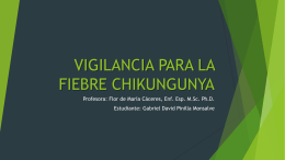 3-Vigilancia para la Fiebre Chikungunya