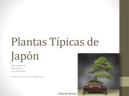 Plantas Típicas de Japón erica nina tiffany