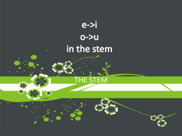 e->i o->u in the stem