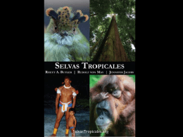 Slide 1 - Las Selvas Tropicales