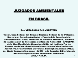 ACCESO A LA JUSTICIA AMBIENTAL EN BRASIL