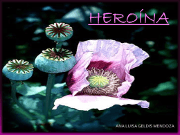 Heroína nº 2
