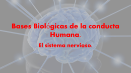 Bases Biológicas de la conducta Humana.