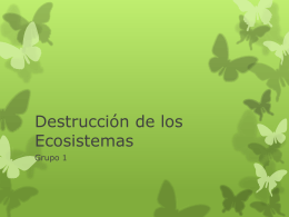 Destrucción de los Ecosistemas