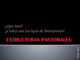6.- Estructuras Pastorales