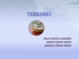 TERRRIO - Terrario