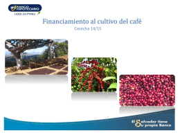Presentación / Financiamiento al cultivo del café 2015/2016